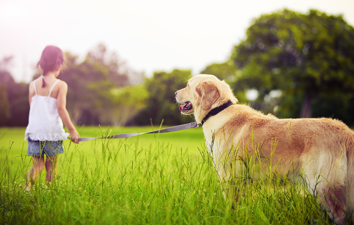 How to Keep Your Heart Healthy  